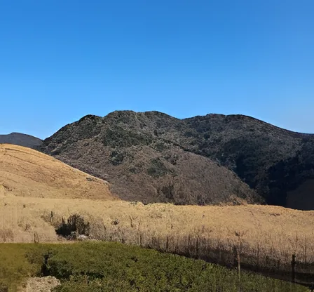 Seunghaksan Silver Grass Field