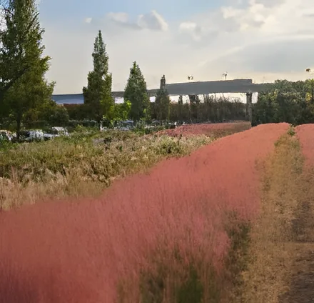 Daejeo Ecological Park