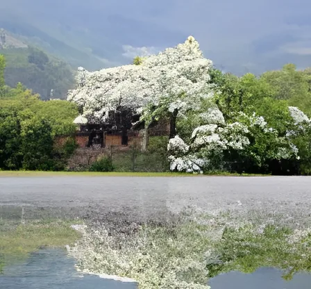 Wiyangji Pond