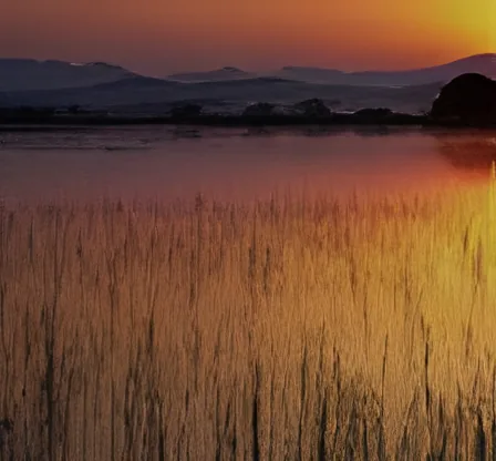 Upo Wetland
