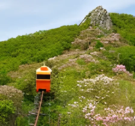 Daebongsan Recreation Valley