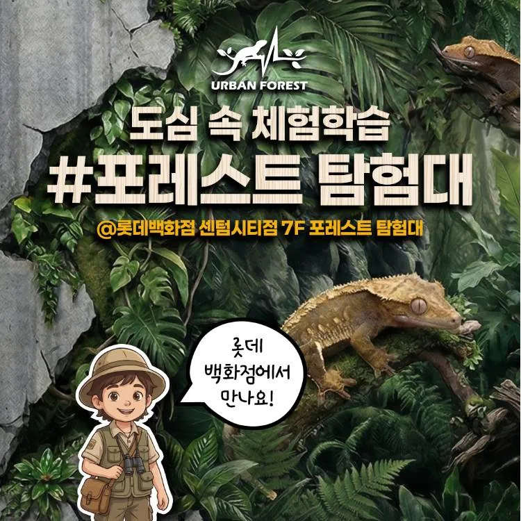 Forest Expedition Pop-Up